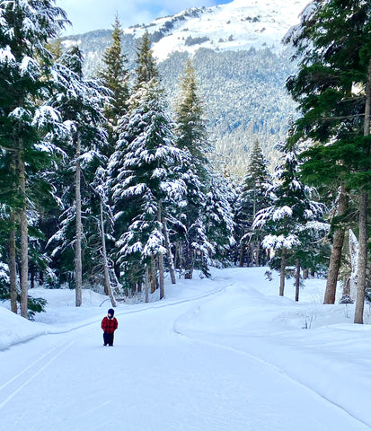 Snowy toddler hike