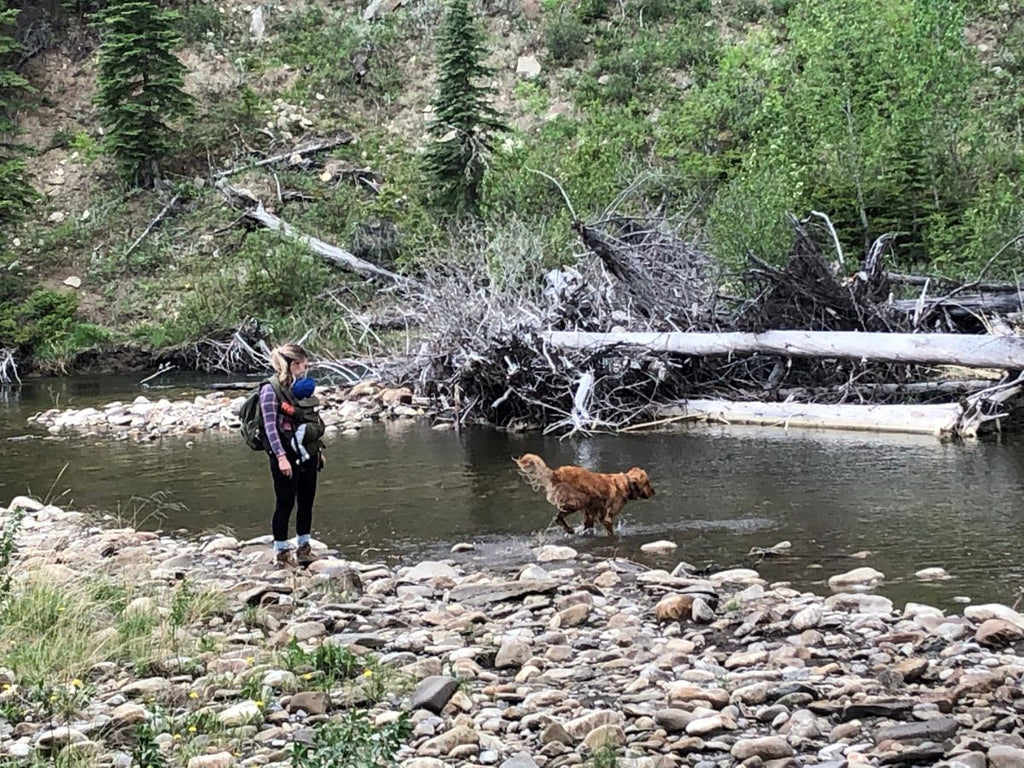 A woman carrying a baby in a baby carrier while near an outdoor lake with a golden retriever dog