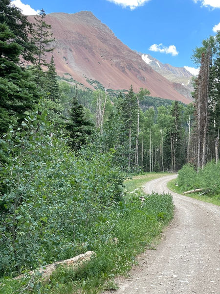 A dirt road leading to a gorgeous mountainous landscape surrounded by vegetation