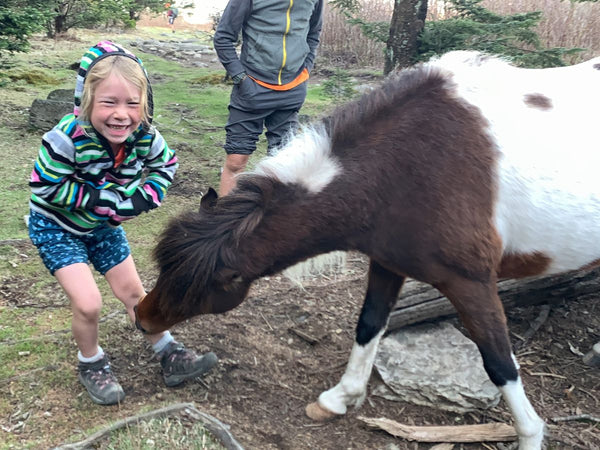 A young girl being licked by a pony while hiking along a forested trail