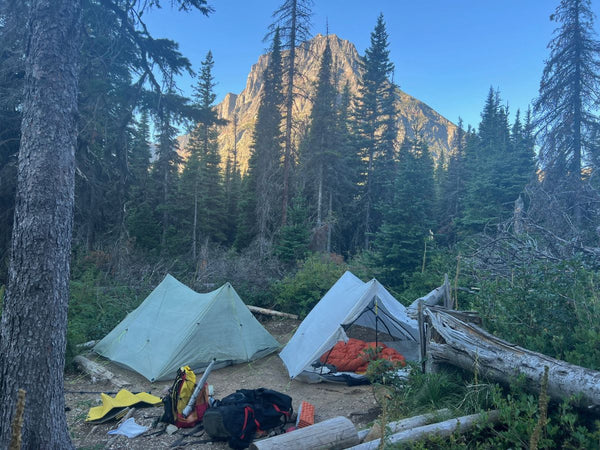 A group of tents set up in a forested area with a view of mountains in the background