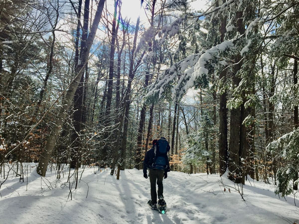 A man snowshoeing in a snowy forest with a child on his back in an Osprey Poco Plus framed carrier