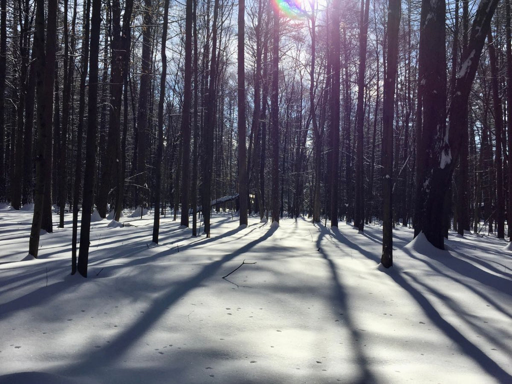 Celebrating the Winter Solstice with Your Family